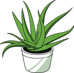 vector illustration aloe vera icon isolated on a white background.