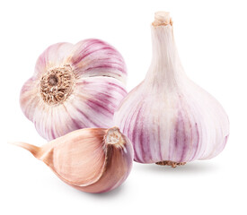 garlic isolated on white background. clipping path