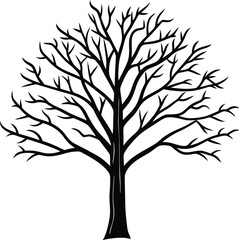 Obraz premium tree silhouette vector