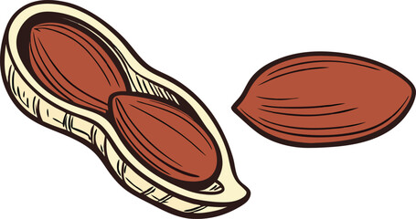Peanuts in the shell, linear icon. vector illustration