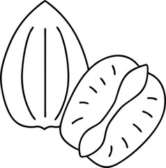 Pecan nut icon. Isolated pecan nut on white background