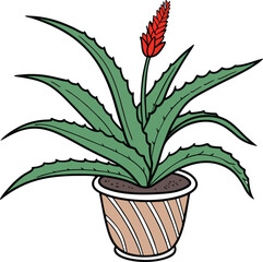 Fototapeta premium Aloe vera vector icon
