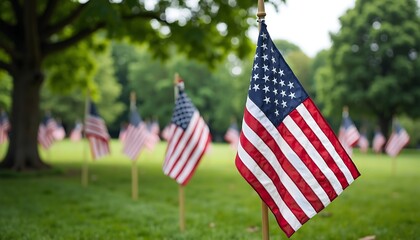 Patriotic Display of American Flags: A vivid shot showcases the stars and stripes with several American flags waving proudly in a lush, verdant field. These flags represent the spirit of freedom.
