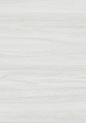 Abstract Background White Gray Textured Surface Design