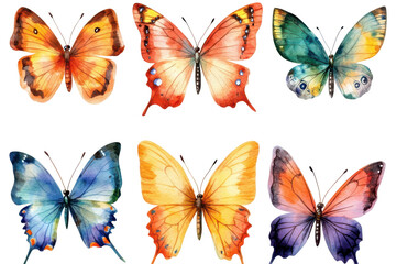Vibrant watercolor butterflies in hand painted vector style beautifully isolated on a white transparent background