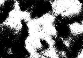 Fototapeta premium Abstract Grainy Black And White Texture Background
