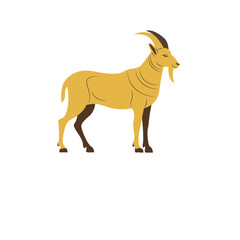 Banebdjedet god peeking, Male