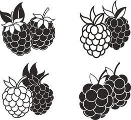 Raspberry Illustrations Black and White Vector Illustration