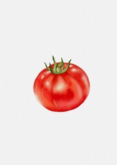 Tomato 