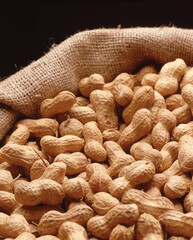 Nuts shell bag detail.