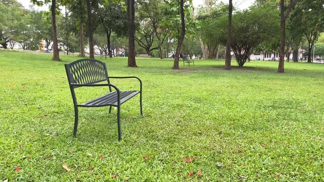 Black metal bench on grassy park field surrounded by tall trees under open sky creating peaceful atmosphere
