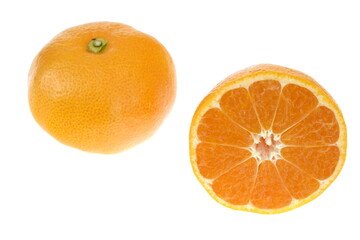 蜜柑 山北温室みかん 高知県産