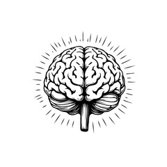 Detailed anatomical brain illustration showcasing intellect and neurological function