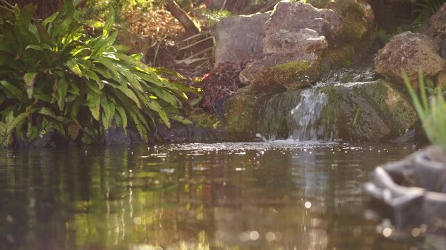 plan fixe vid&eacute;o d'une fontaine dans un bassin amateur de jardin, belle environnement, avec bille de bokeh, lumi&egrave;res douces du petit matin
