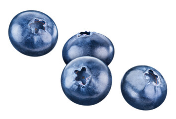 Flying blueberry isolated on white background