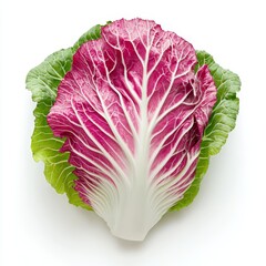 Obraz premium Chinese cabbage on white background