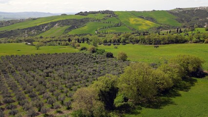 Obraz premium Italy, Tuscany, 05,23,25 the famous winding road with cypress trees close to La Foce in Castelluccio Val D'Orcia Tuscan landscape : drone aerial view of Tuscany Apennines and amazing spring nature 