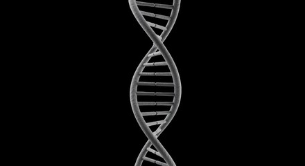 DNA double helix structure in scientific illustration on black background  