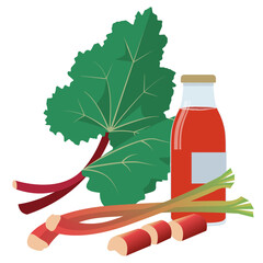Rhubarb leaves , cut stems and a bottle of fresh rhubarb cordiale.Vector Illustration