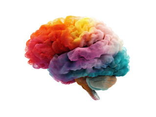 Colorful brain concept for creative thinking and innovation, cut out transparent