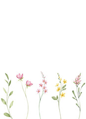 Greeting card template with watercolor wild flowers, floral border with place for text. Illustration hand painted. Isolated on white background.