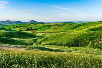 beautiful green evening meadow with bloom flowering field during amazing spring sunset among hills and farms with beautiful mountains with evening sky on baclground