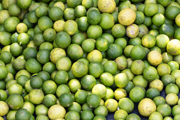 A bunch of green citrus fruit, including limes and lemons