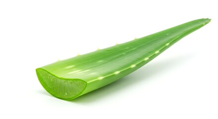 Aloe Vera Leaf Cut Fresh Isolated on White