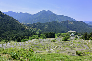 田植えを待つ棚田　丸山千枚田
