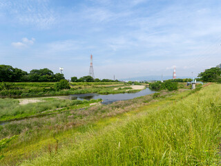 新緑の草木に覆われた猪名川沿いの景色