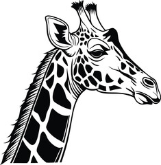 Naklejka premium giraffe head vector illustration
