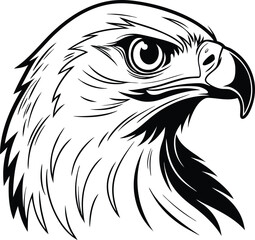 eagle head isolated on white