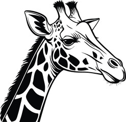 giraffe head vector illustration