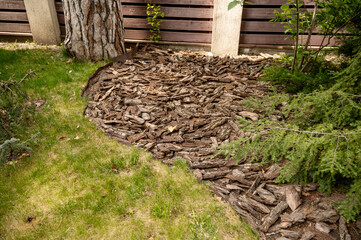 Mulching the soil surface with tree bark.