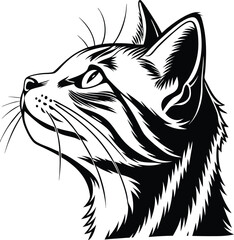 vector illustration of a cat