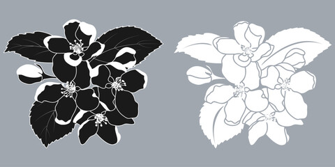 Apple Blossom Silhouette Spring Fruit Tree Flowers