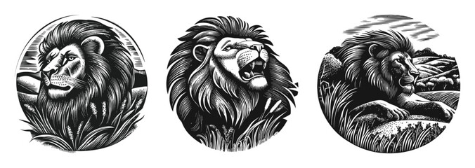 Obraz premium Majestic Lion Illustrations in Black and White Vector Art Style