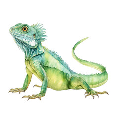Obraz premium A watercolor painting depicts a detailed green lizard on a white background.
