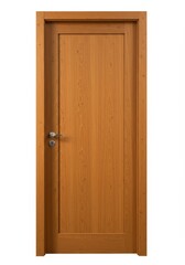 Modern Minimalist Single Wooden Door Design