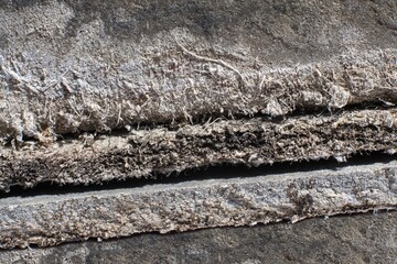 Detailed photography of building  material with asbestos fibres. Health harmful and hazards effects.
