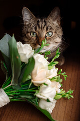 Wedding day. Beautiful tabby cat posing near the wedding bouquet