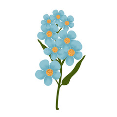 Delicate Forget-Me-Not Flower Illustration. A charming and simple illustration of a spring of forget-me-not flowers, featuring clusters of small, five-petaled blue blossoms with tiny orange centers