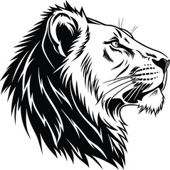 lion vector illustration