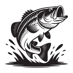 Striking illustration of a large mouth bass leaping up, Vector black silhouette. with white background