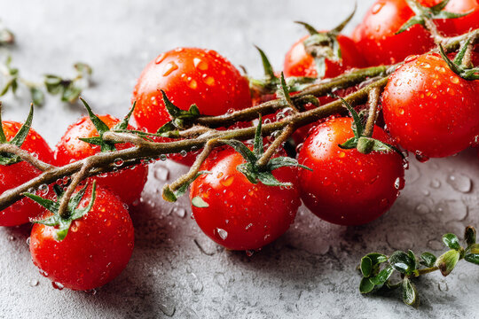 Fresh cherry tomatoes on vine with water drops