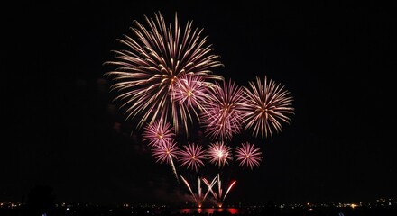 Photo Colorful Fireworks Bursting in Night Sky