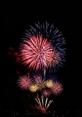 Photo Colorful Fireworks Bursting in Night Sky