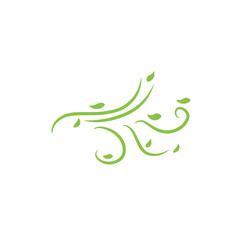 green organic wind leaf