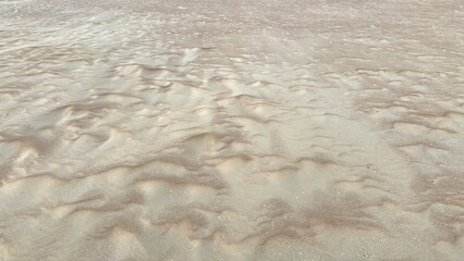 Exploring Intricate Patterns of Fine Beach Sand Shaped by Nature's Forces, Revealing a Delicate Balance of Earth Tones and Organic Designs Under Shifting Light