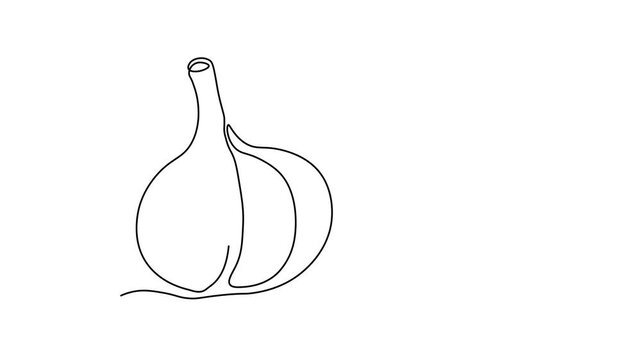 Abstract garlic head and clove, Self drawing animation one continuous line draw, logo